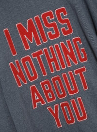 I MISS NOTHING ABOUT YOU HARLEY ZIP