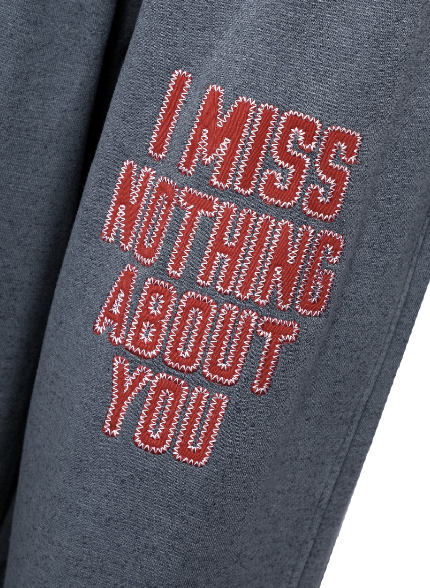 I MISS NOTHING ABOUT YOU ALEX PANT
