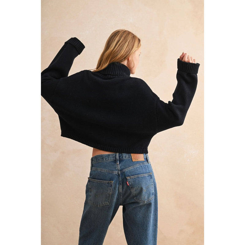Oh Beautiful Turtleneck